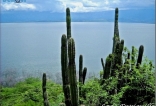 Lago Enriquillo, en el Sur Profundo, provincia Independencia.