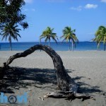 Punta Salinas ist eine exotische Umgebung zwischen grauem Sand und transparentem Wasser.